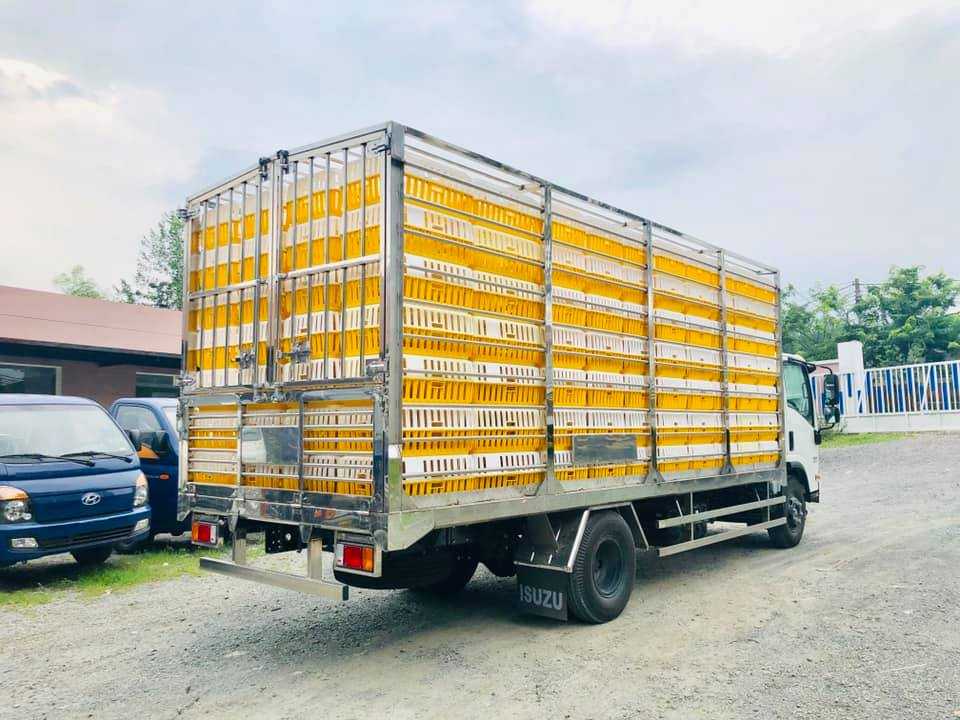 NQR75LE4__Xe thùng chở gia cầm 4600kg (10)