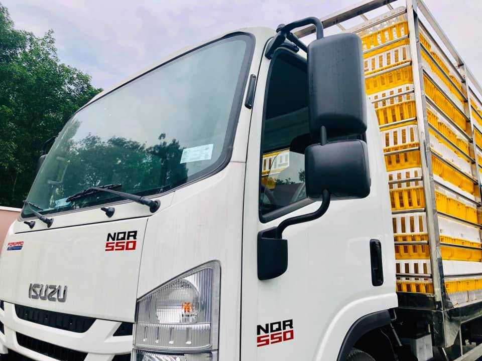 NQR75LE4__Xe thùng chở gia cầm 4600kg (12)