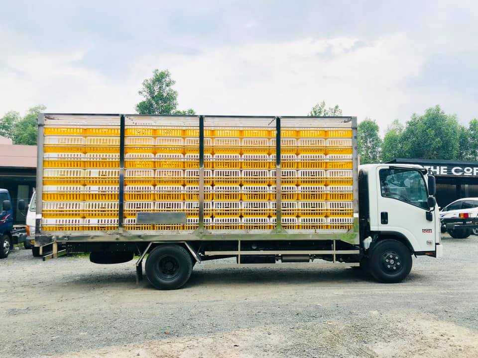 NQR75LE4__Xe thùng chở gia cầm 4600kg (13)