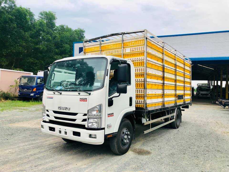 NQR75LE4__Xe thùng chở gia cầm 4600kg (7)