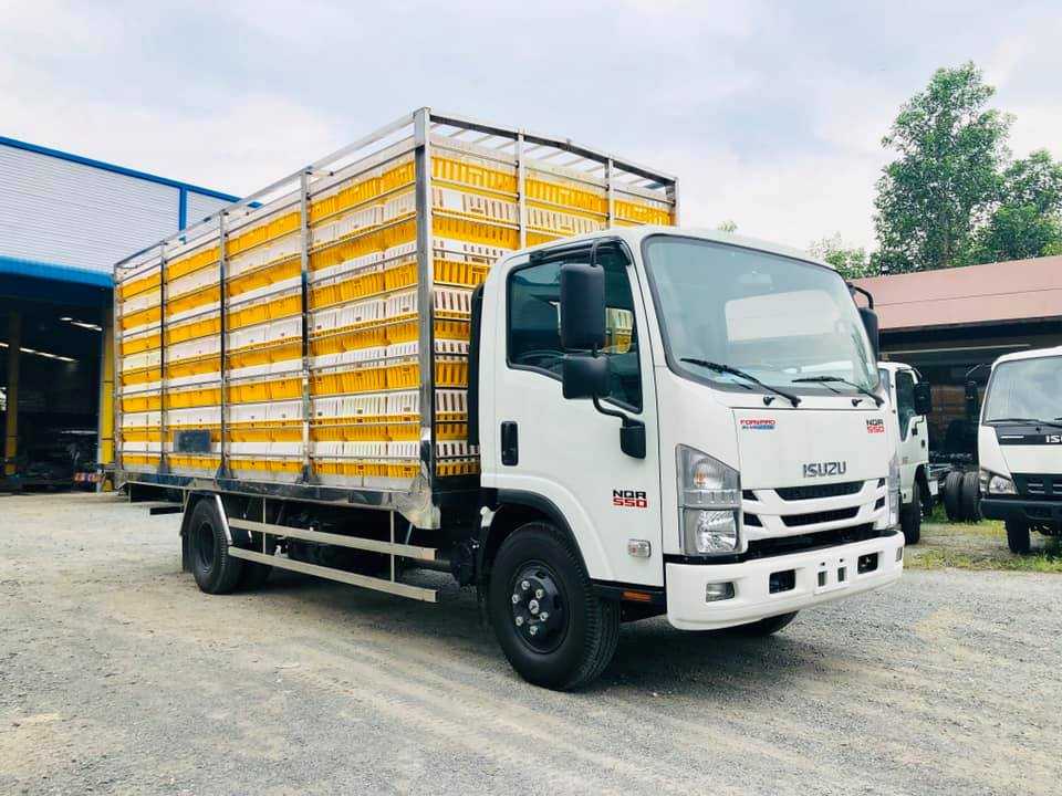 NQR75LE4__Xe thùng chở gia cầm 4600kg (8)